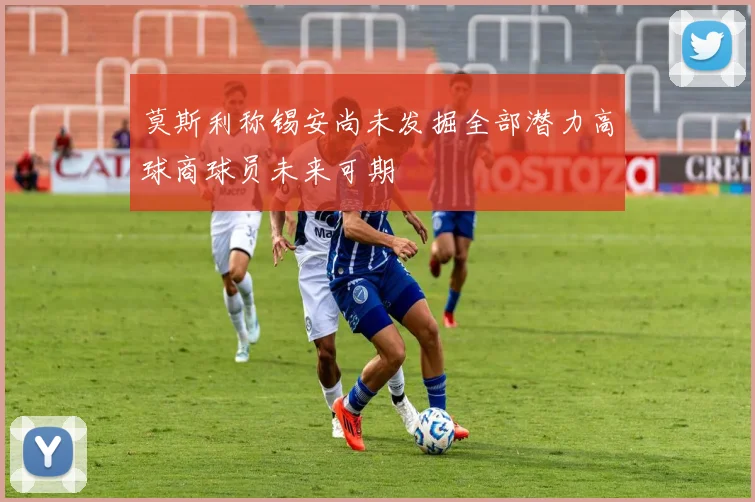 莫斯利称锡安尚未发掘全部潜力高球商球员未来可期