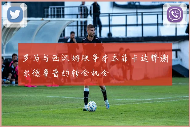 罗马与西汉姆联争夺本菲卡边锋谢尔德鲁普的转会机会
